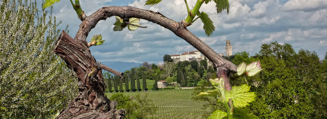 Le colline del Prosecco