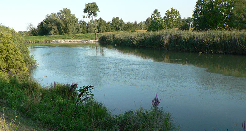 Tra il Piave e il Sile